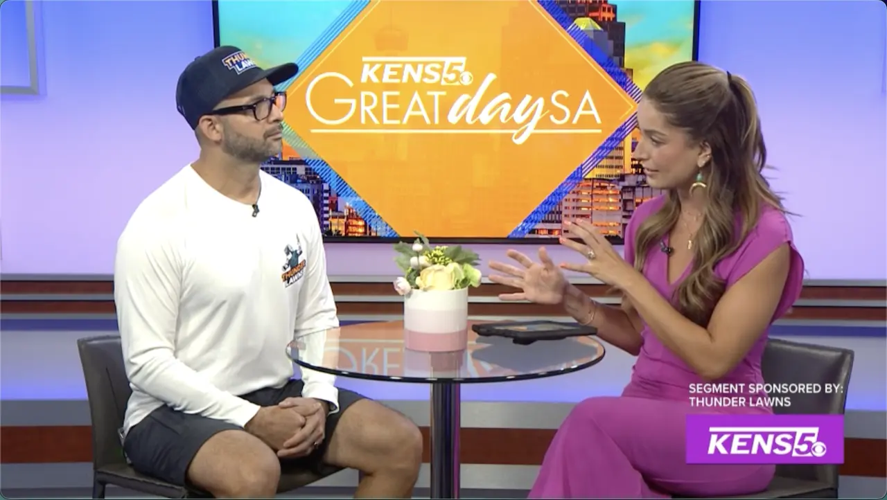 TV Interview snapshot