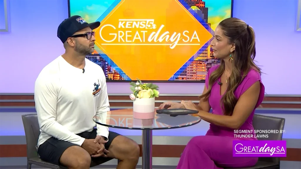 TV Interview